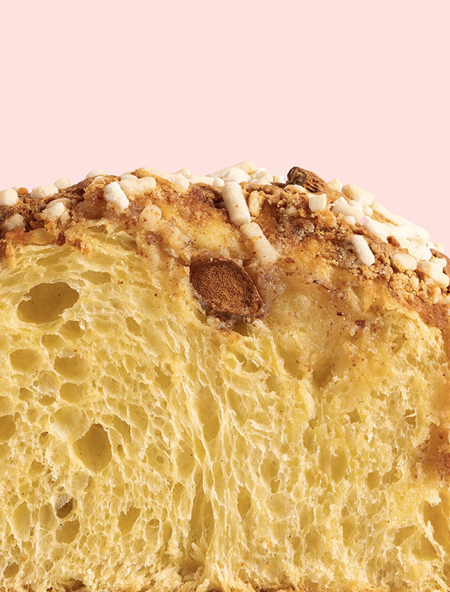 colomba-vuota-03